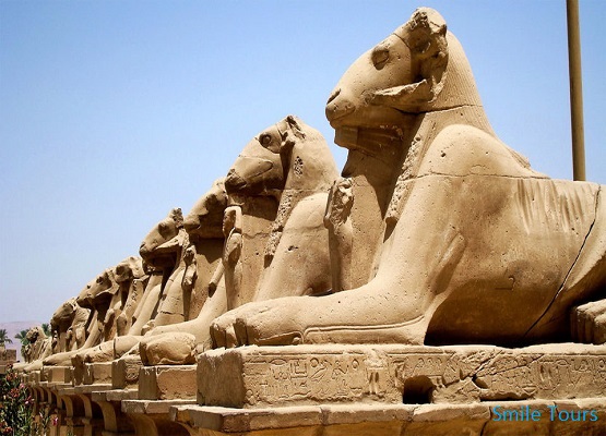 12422Smile_Tours_Luxor_Tour_From_Hurghada_0.jpg
