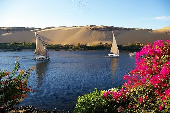 SUNSET SAILING TRIP WITH FELUCCA TO ELEPHANTINE ISLAND