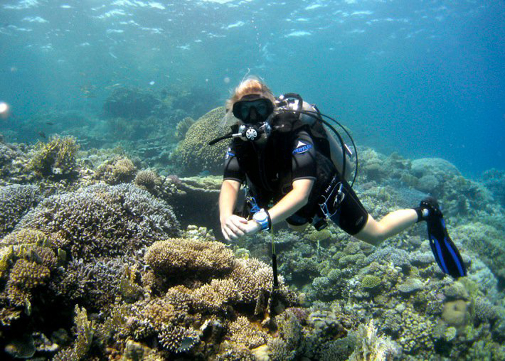 OVERNIGHT DIVING TRIP AT SATAYH DOLPHIN REEF MARSA ALAM