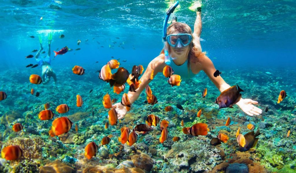 Snorkeling Trips From Marsa Alam