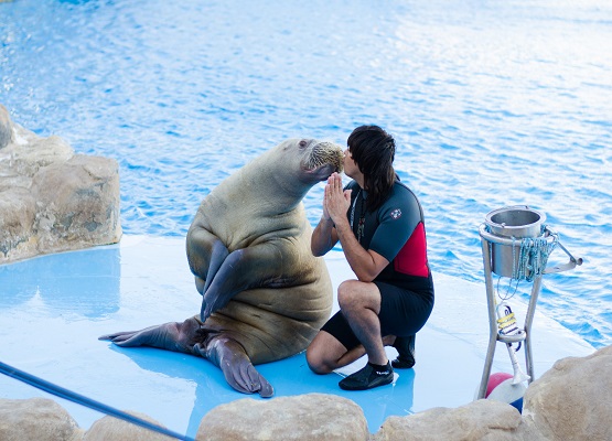 EXCURSIE LA DELFINARIU