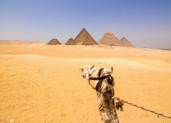31693Smile_Tours_CairoPyramids_Excursions_1.jpg