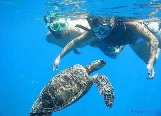 Snorkeling trips From Hurghada
